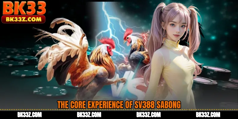 The Core Experience of SV388 Sabong